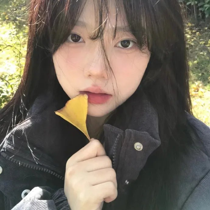 莫问前程封面